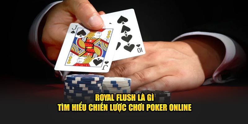 Royal Flush Là Gì