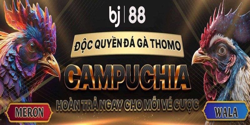 Giới thiệu sơ lược BJ88 đá gà trực tiếp