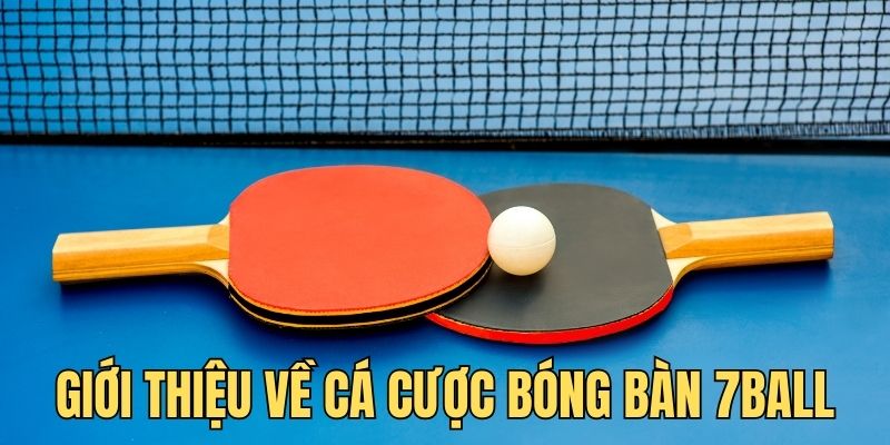 Giới thiệu chung về bộ môn cá cược bóng bàn online